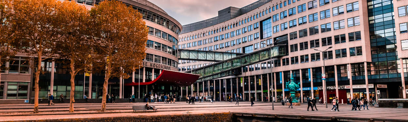 The Hague Pathway College | Study in the Netherlands